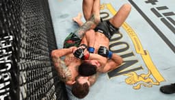 UFC Octagon Sponsorship Opportunities - Image 2