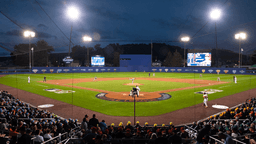 Little League World Series 2025 - Image 3