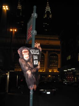 Snipe Advertising Across the Nation - Image 1