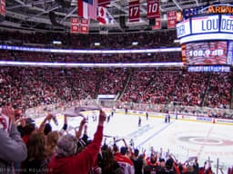 Carolina Hurricanes - Image 2
