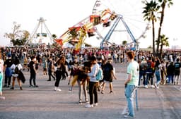Camp Flog Gnaw 2025 - Image 3
