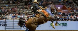 Texas State Fair - Image 3